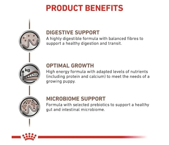 vhn gi puppy dog dry b1 mv4 image