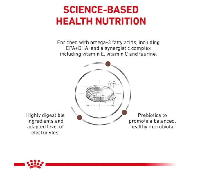 vhn gi hf and lf dog dry b1 image