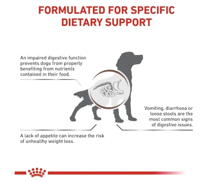 vhn gi gastrointestinal dog dry b1 mv2 image