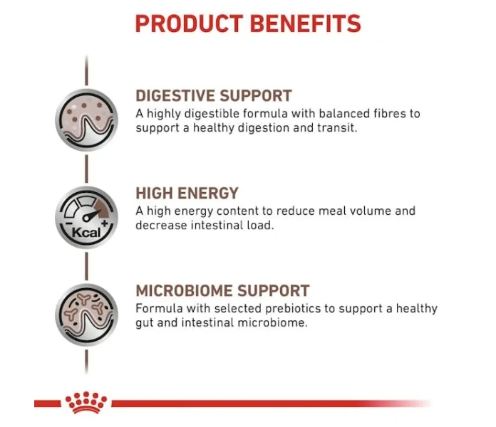 vhn gi gastrointestinal dog dry b1 mv4 image