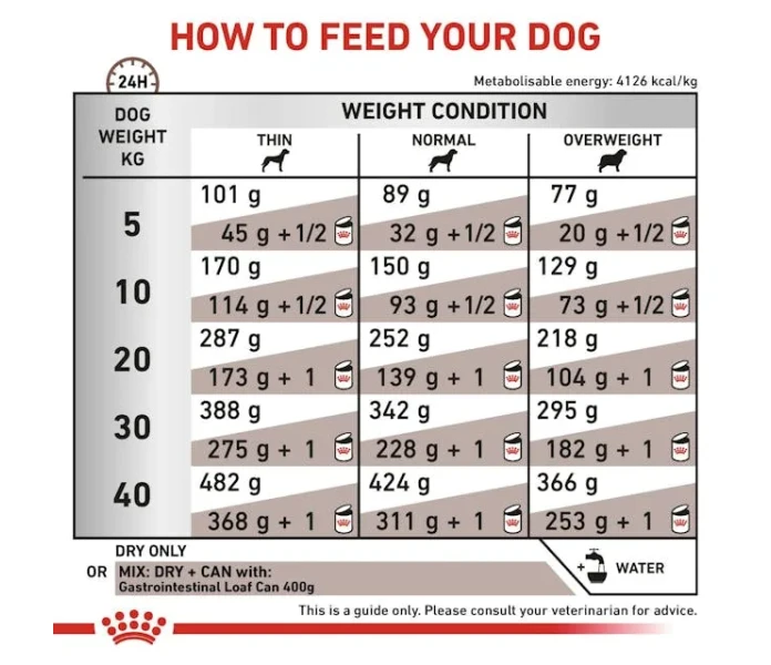 vhn gi gastrointestinal dog dry b1 mv5 image