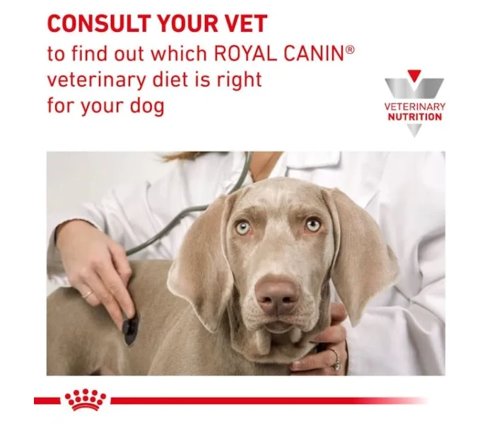 vhn gi consult vet dog dry wet b1 image
