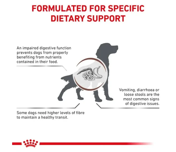 vhn gi high fibre dog dry b1 mv3 image