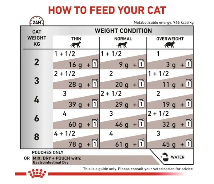 vhn gi cat cat tsig b1 mv5 image