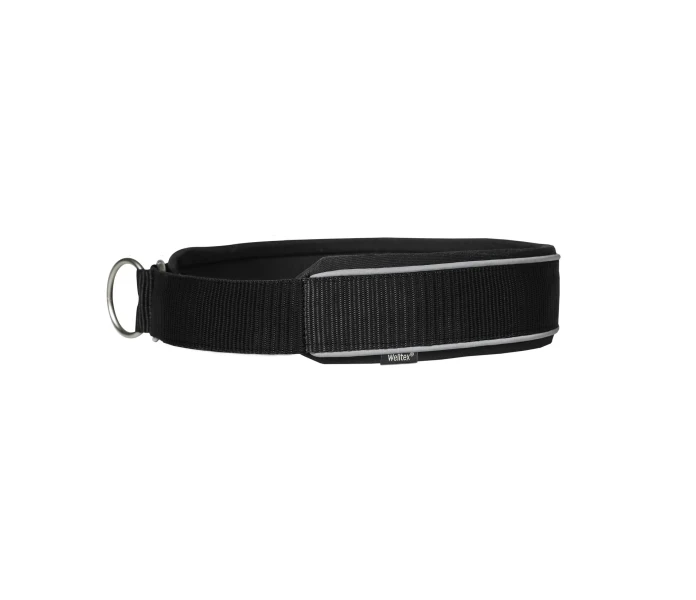 3402CharlieDogCollar Corrected Back WEB 01 jpg kuva