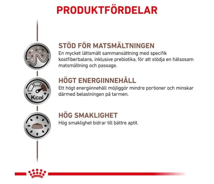rc vet wet doggastro400g cv eretailkit 2 sv se image
