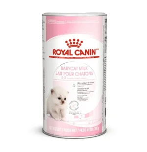 Royal Canin mjölknäring för katt image