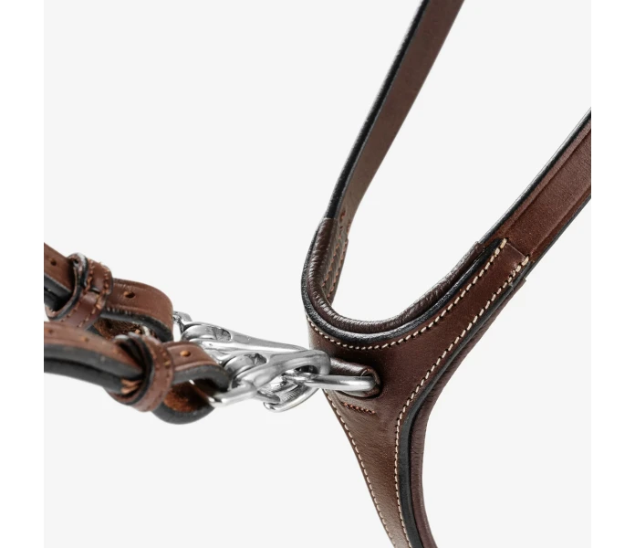 Bhoof trans 6 2 kvadrat 2000px kuva