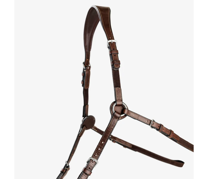 Bhoof trans 7 3 kvadrat 2000px kuva