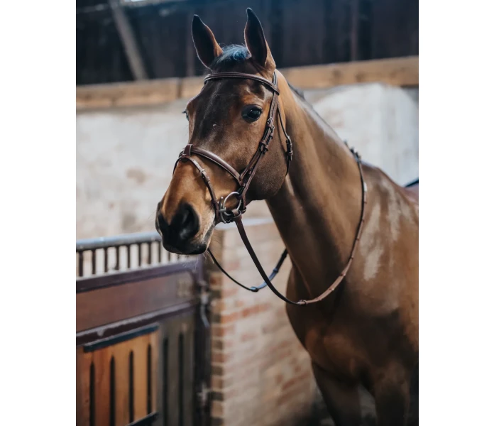 DSC 8150 a208d6d1 2d57 4b3a a145 8abb5d6ecd9c kuva