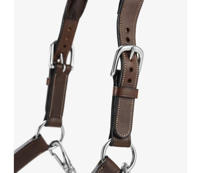 Bhoof trans 1 2 kvadrat kuva