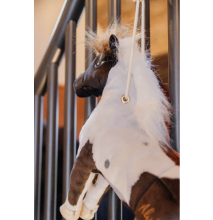 Kentucky Karsinalelu Alvin kuva