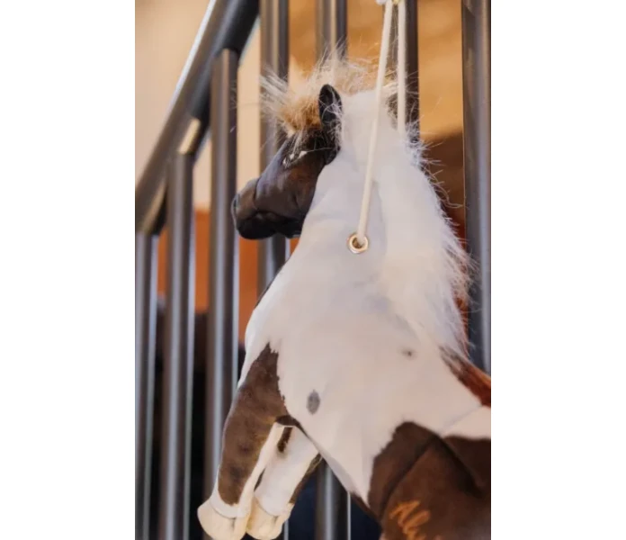 Skarmbild 2025 05 19 133256 image