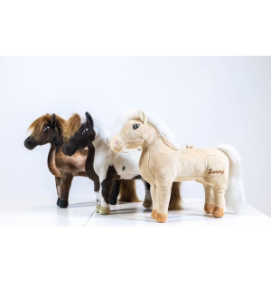 Kentucky Karsinalelu Sammy kuva