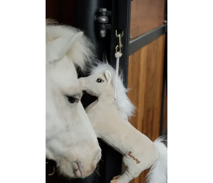 Skarmbild 2025 05 19 141441 image