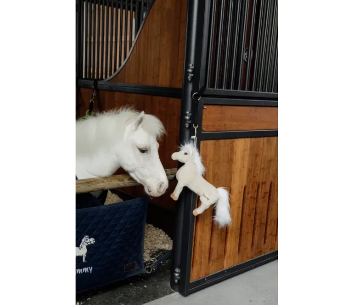 Skarmbild 2025 05 19 141454 image