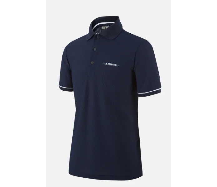 ARIAST 23T 47 Ombra front kuva