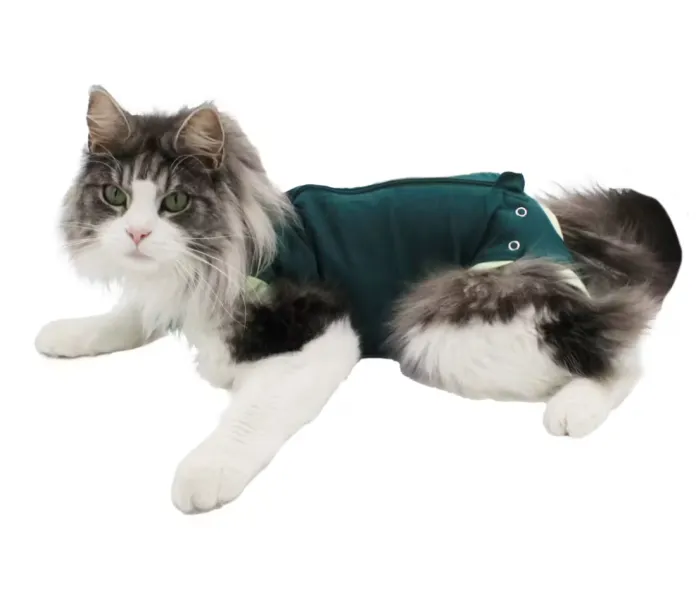 Skaermbild 2025 05 30 133556 image