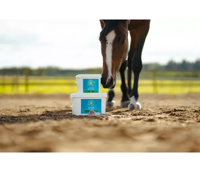 tuotesivu psylliumsiemenvalmisteeclipsebiofarmab 7330824005497 16454face411 2 2 image