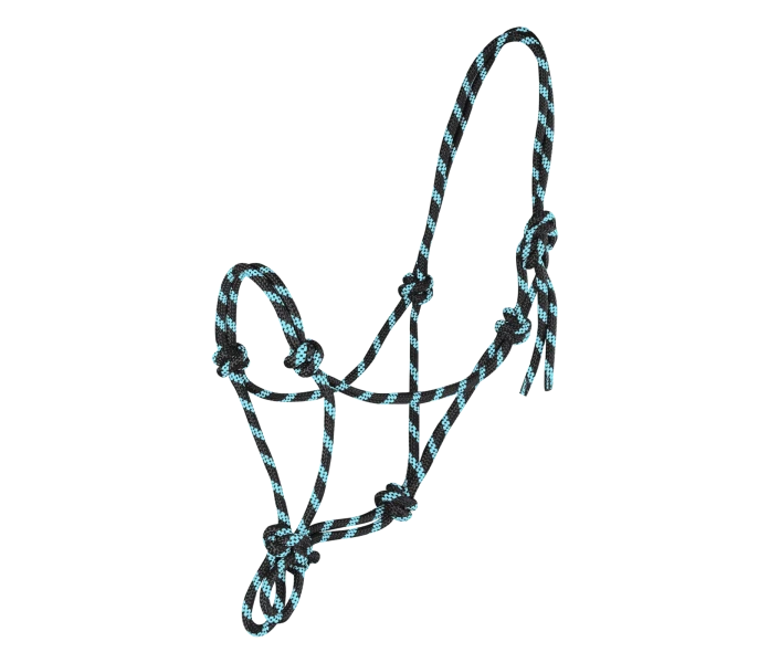 50411001 PON 53 kuva