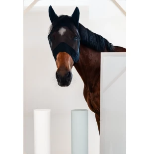 Cavalleria Toscana Lyhyt Kärpäs Huppu kuva