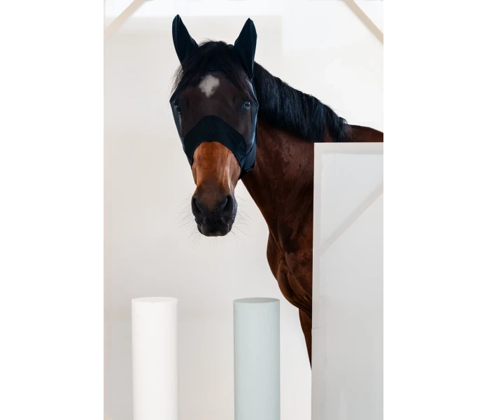 MAS004 PL092 9999 1 1 kuva