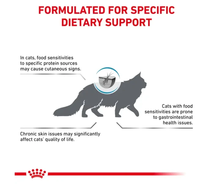 8e828463 88c0 4d93 87a2 b2490008c5c8 DownloadAsJpg kuva