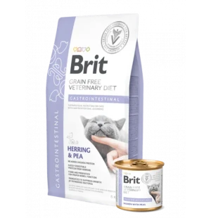 Brit Cat Gastrointestinal kuva