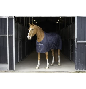 ALOGA Pro Stable Talliloimi 100g kuva