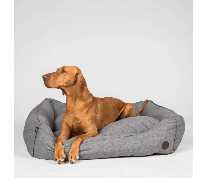 476A00063037Web jpg image