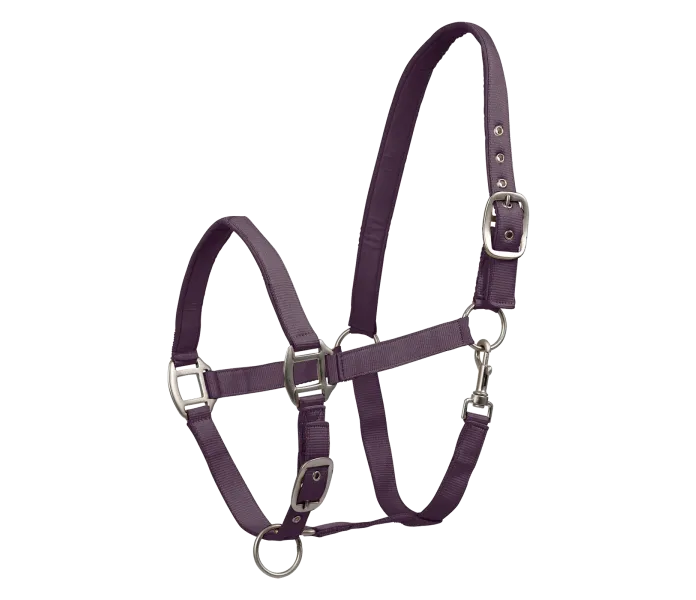 Riimu pehmeällä satiinilla liila kuva