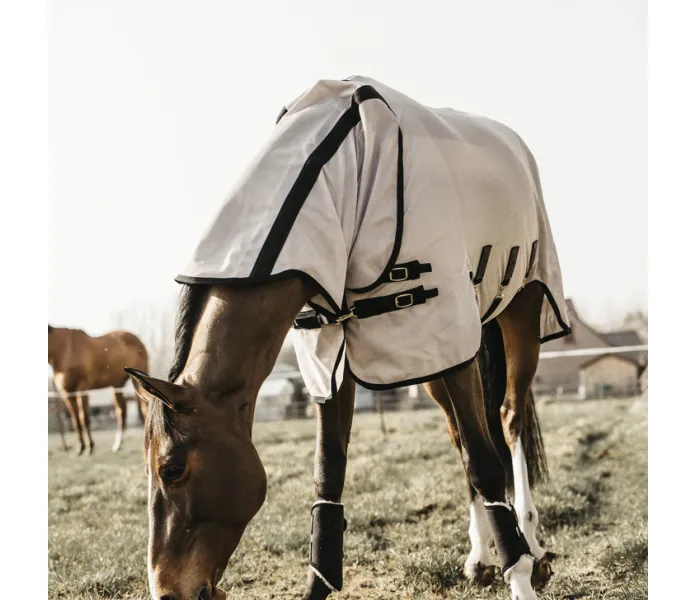 Kentucky ötökkäloimi kuva