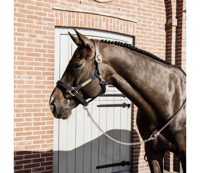 Kentucky Nahka riimunnaru ketjulla ruskea 3 image