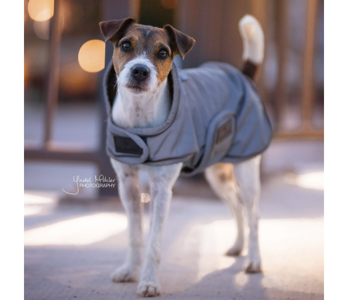 Kentucky reflective dog coat koiraloimi heijastimet fodrat hundtacke reflex kuva