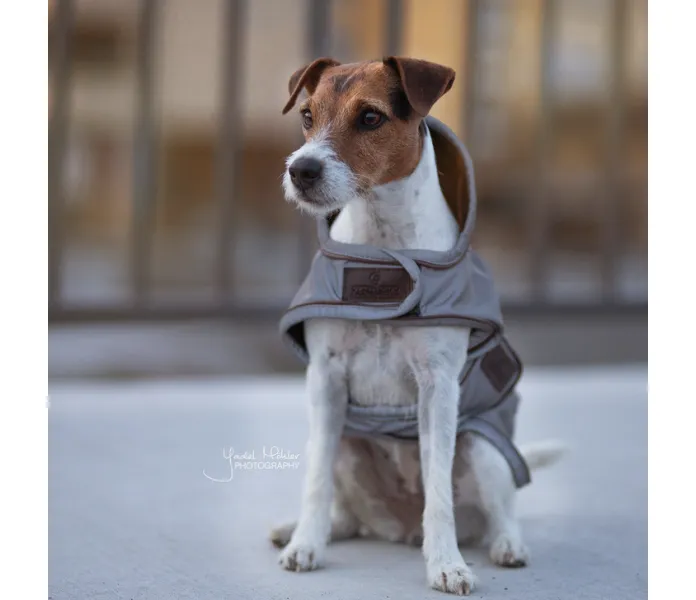 Kentucky reflective dog coat koiraloimi heijastimet hundtacke reflex image
