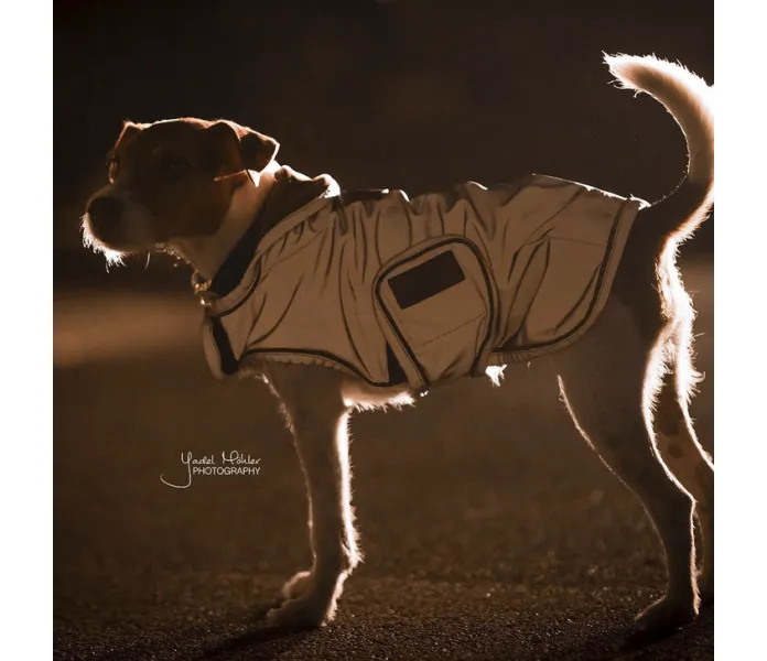 Kentucky reflective dog coat koiraloimi heijastimet reflexhundtacke image