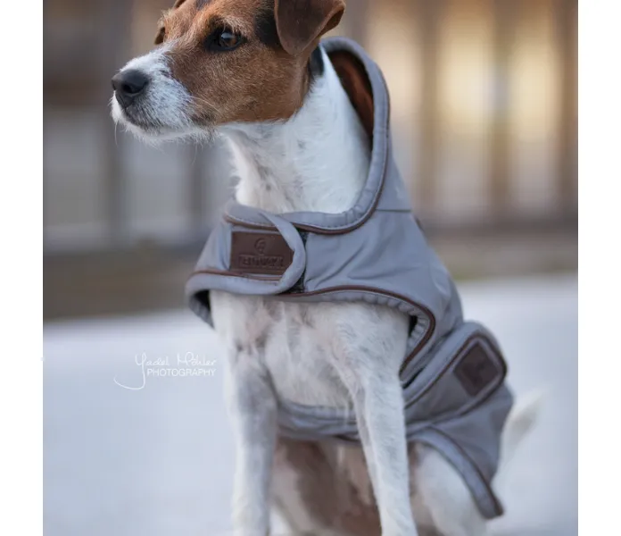Kentucky reflective dog coat koiraloimi heijastimet image