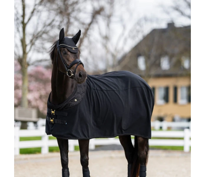 YK 00657 2052 2420 2611 Web jpg image