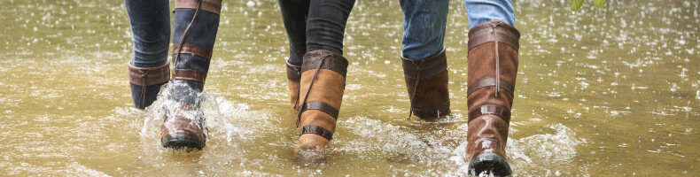 Dubarry Boots