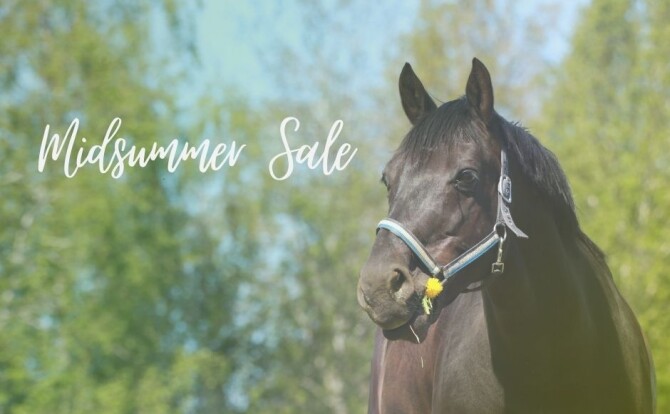 Midsummer Sale v2