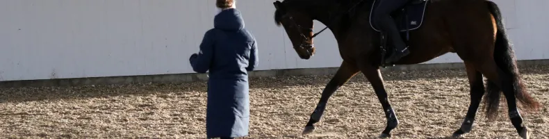 Talvitakit Talvitakit