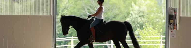 Ridleggings Ridleggings